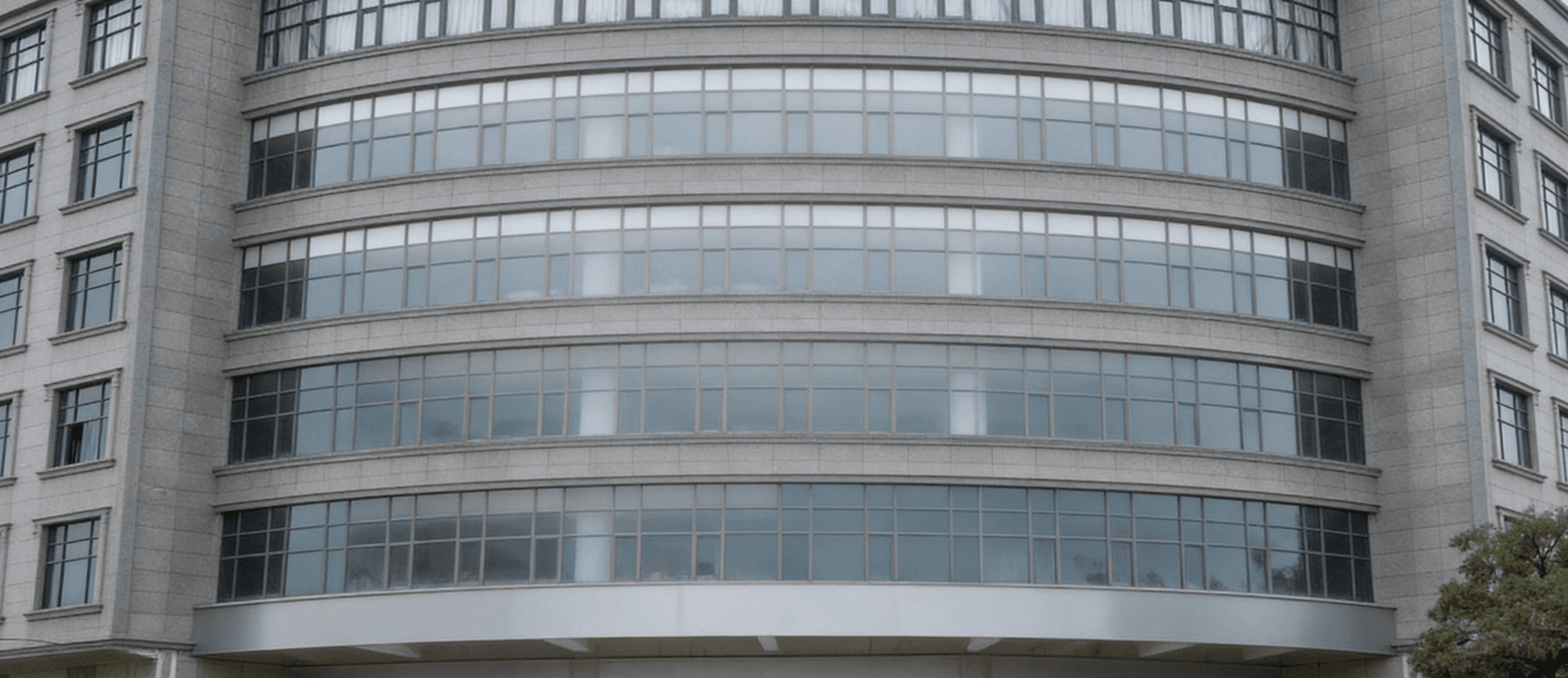 THE BACKGROUND BEHIND THE COMPANY NAME