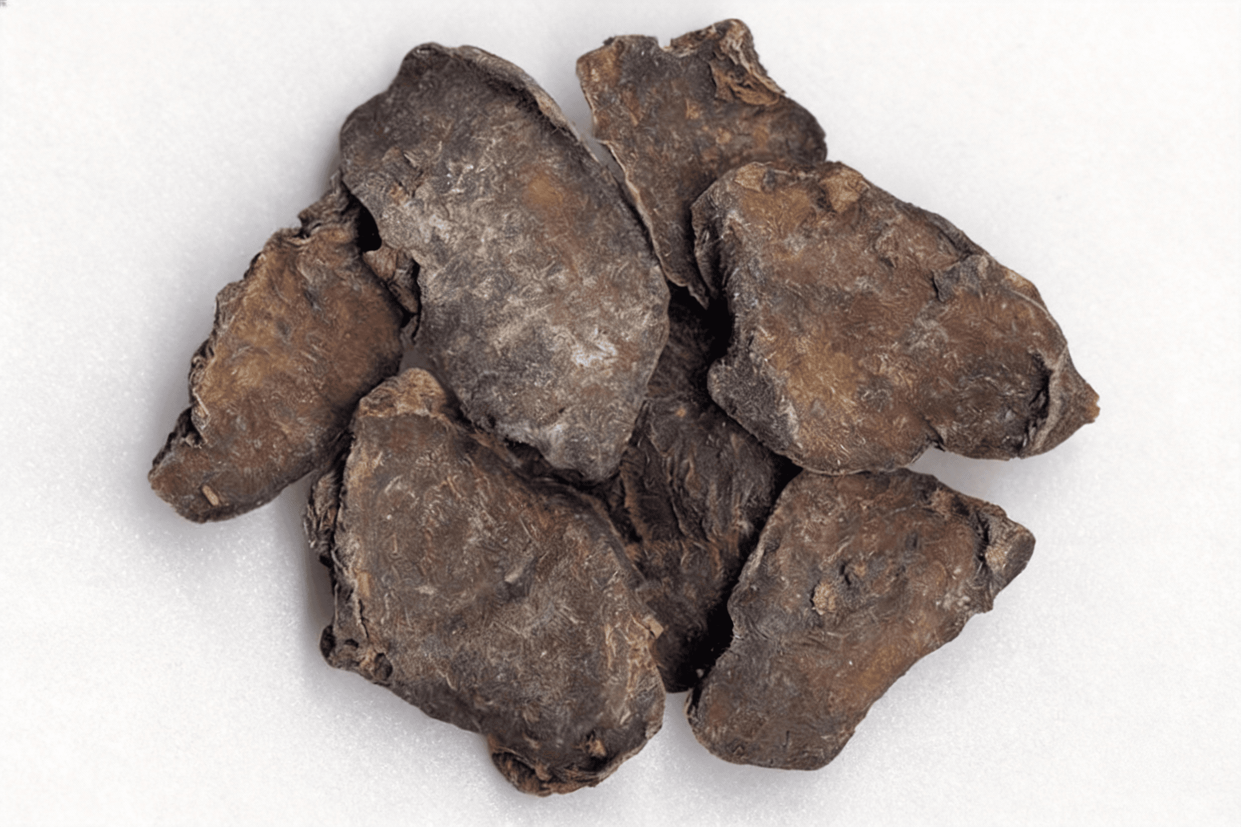 天南星 Tian Nan Xing