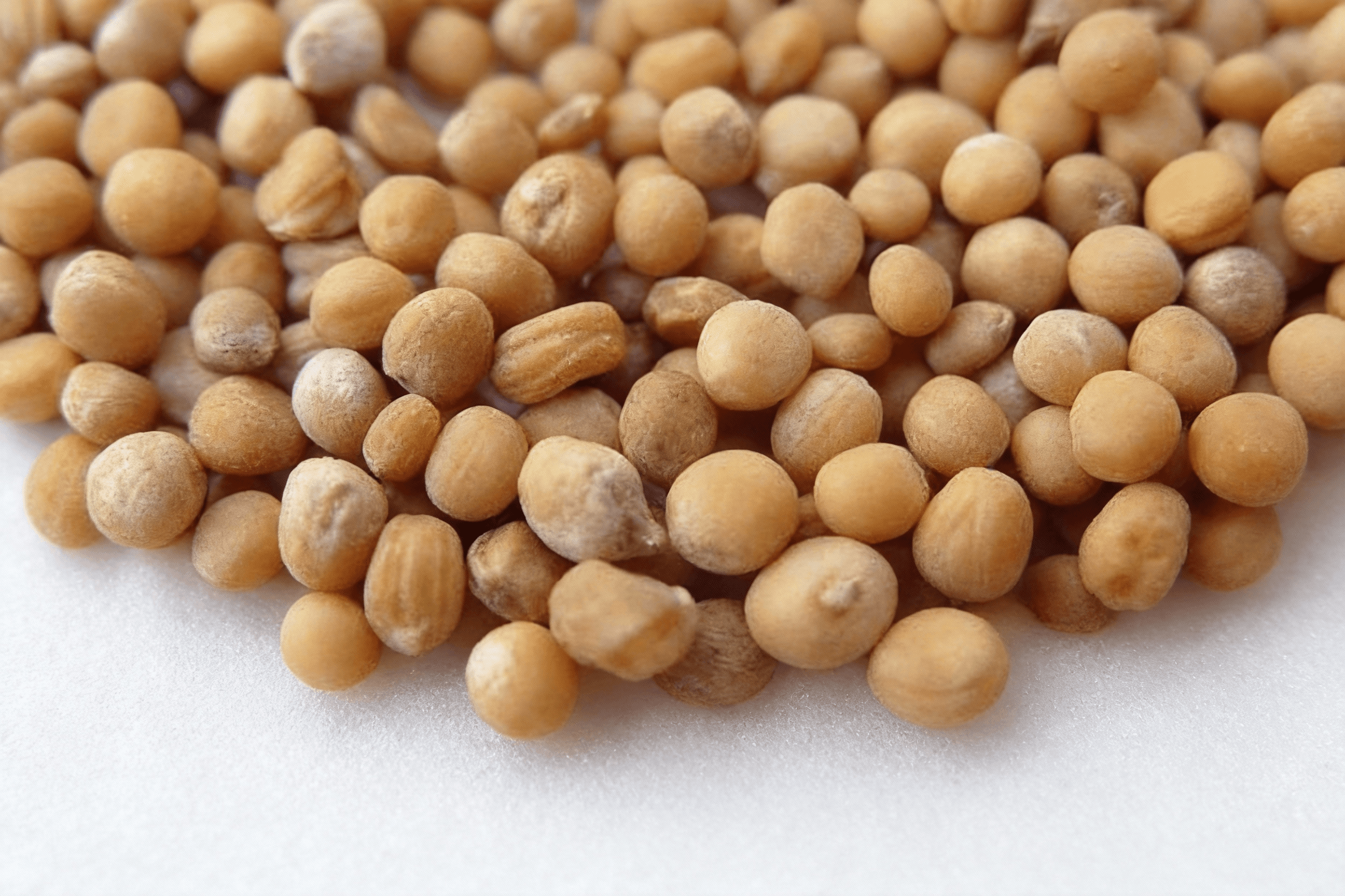 白芥子 Bai Jie Zi