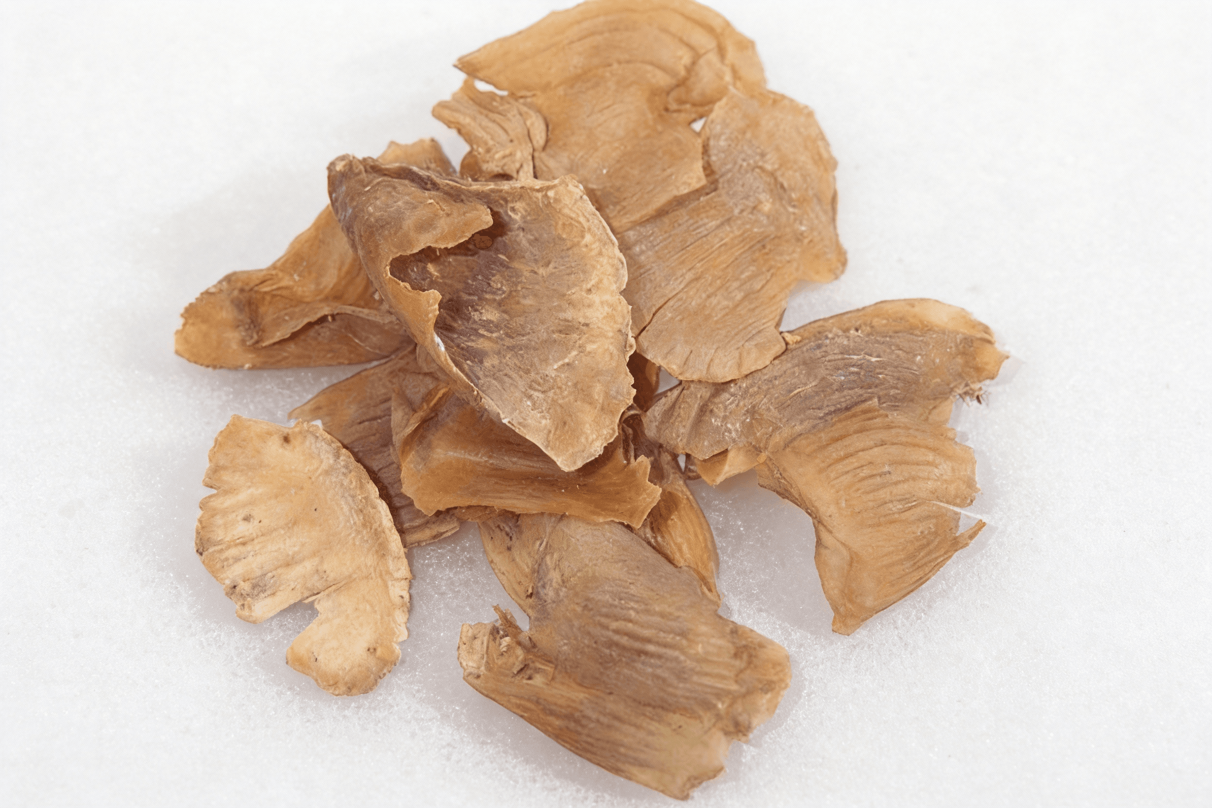 鸡内金 Ji Nei Jin