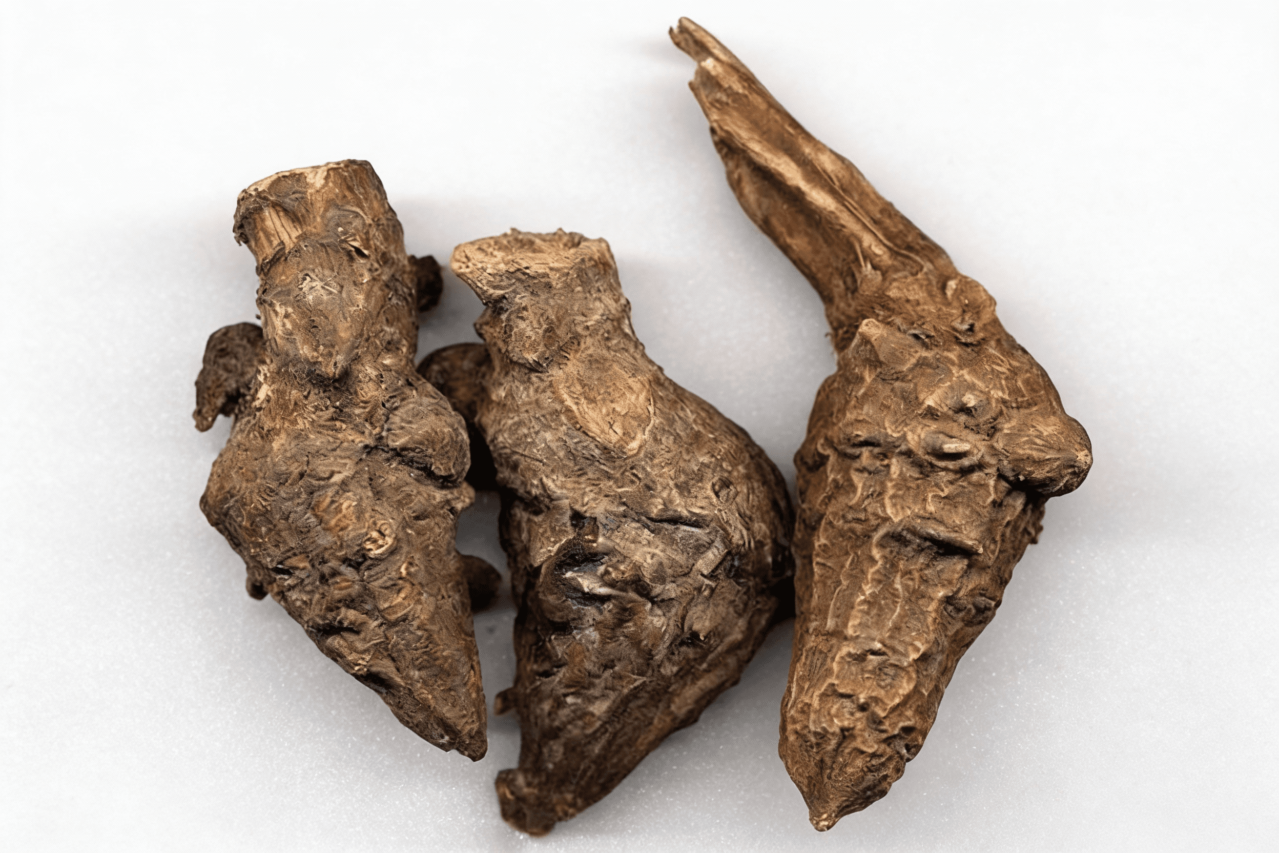 川乌头 Chuan Wu Tou