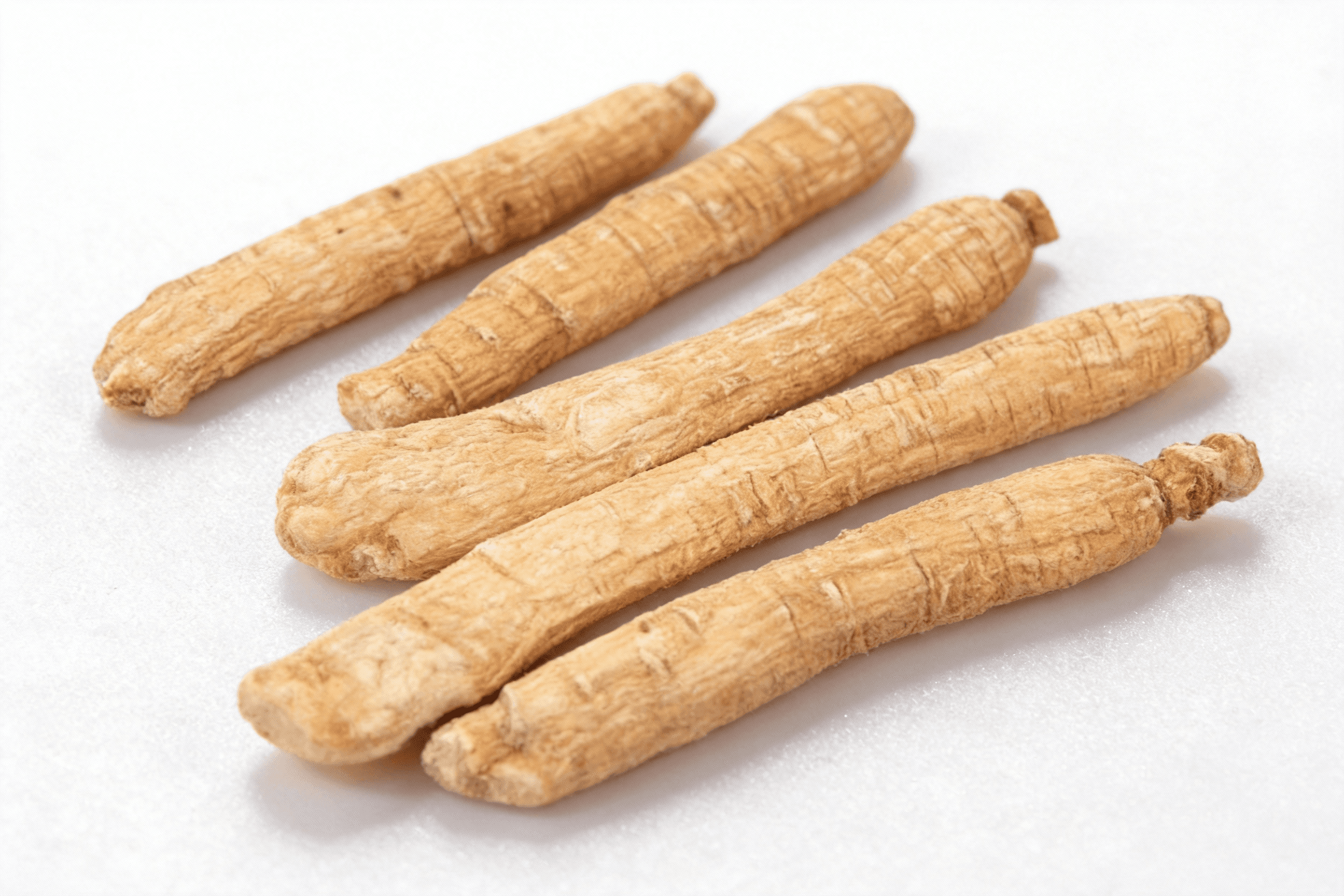 西洋参 Xi Yang Shen